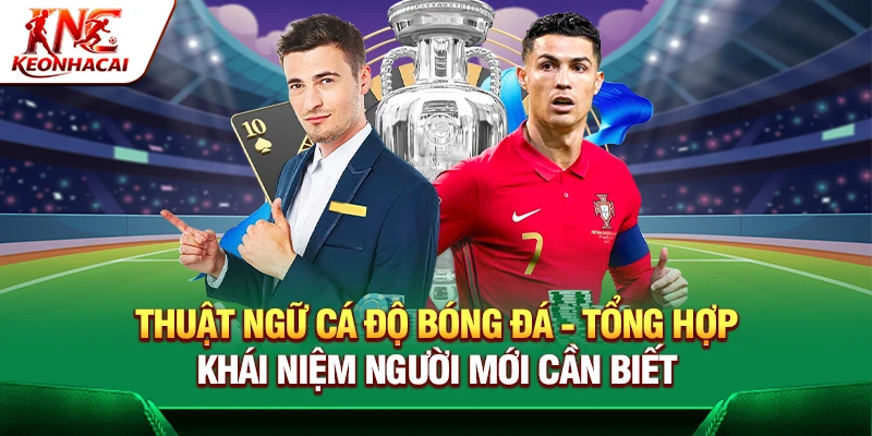 https://xewe.io/thuat-ngu-ca-do-bong-da/
